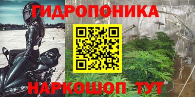 ешки Канаш