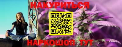 шишки Камышлов