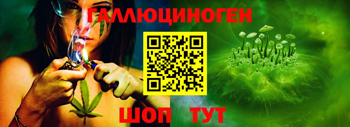 Лабинск  Галлюциногенные грибы Psilocybe  Вход с VPN 